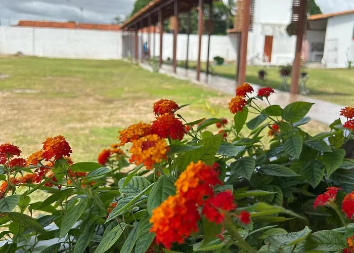 Casa Mangue