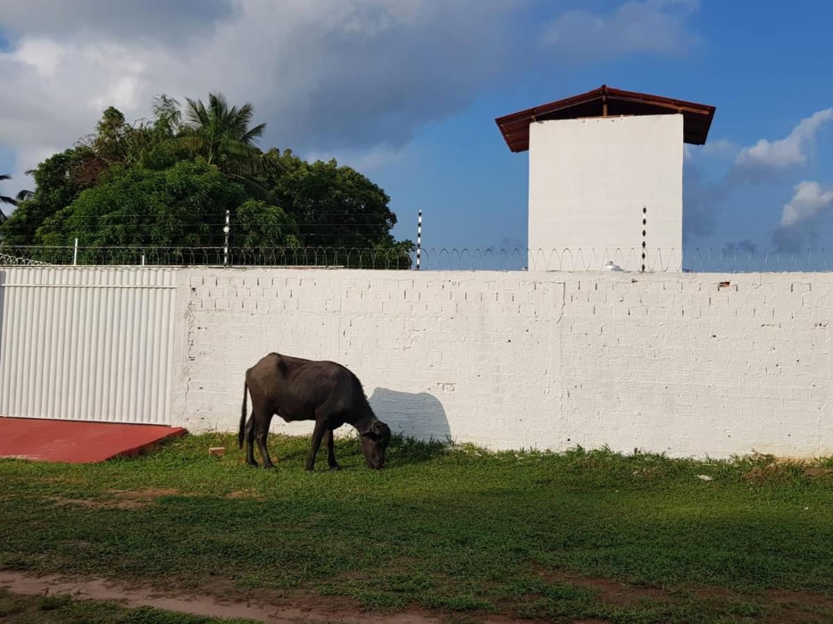 Homestay Casa Mangue